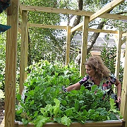 Picture 003